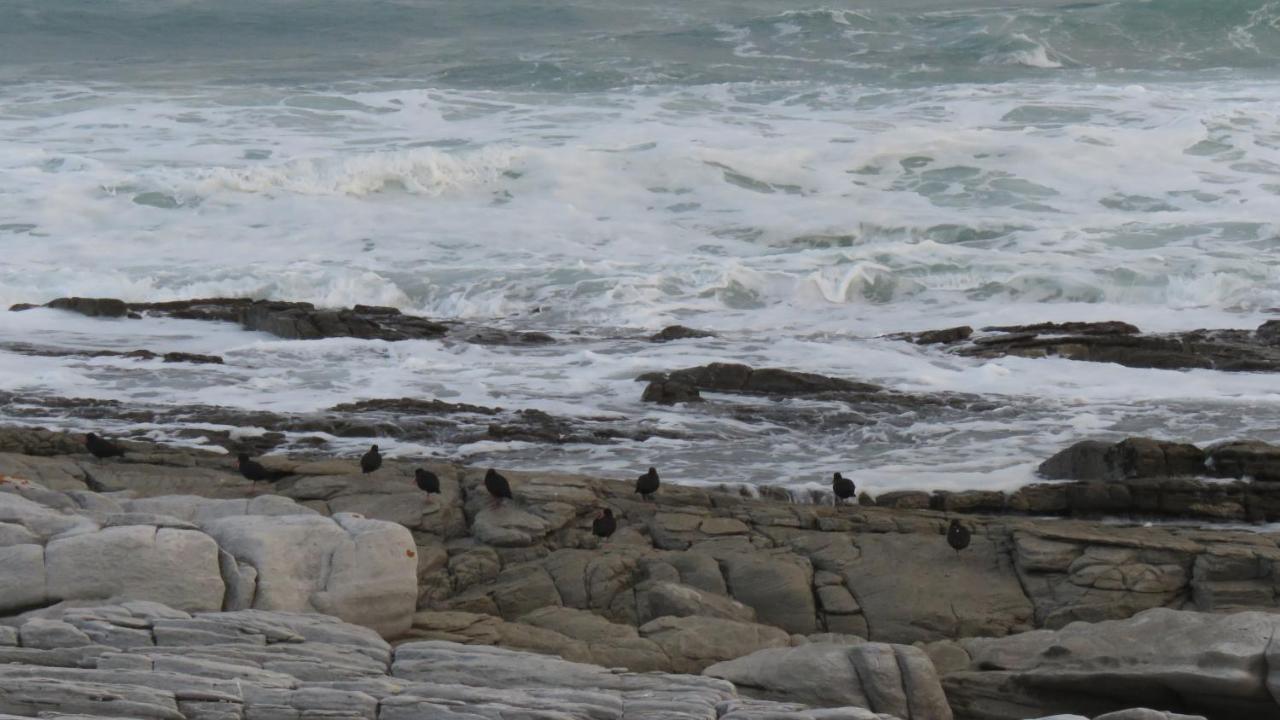 L Agulhas,Main @ 51 Daire Dış mekan fotoğraf
